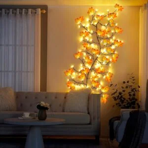 Home & Furniture
